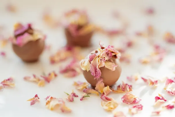 Casino Vegas Spins Android/iOS App